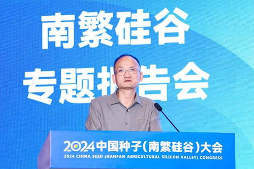 南繁硅谷步入新阶段 如何构建高效的知识产权服务体系