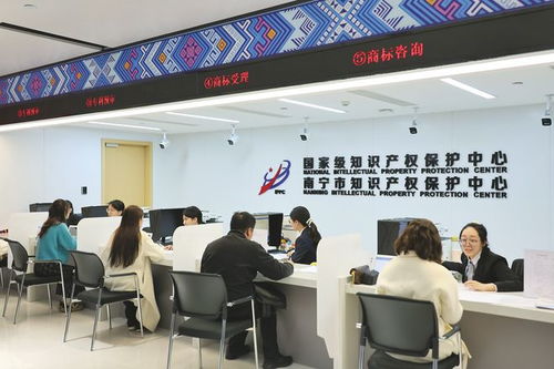 以高水平知识产权服务，护航产业高质量发展